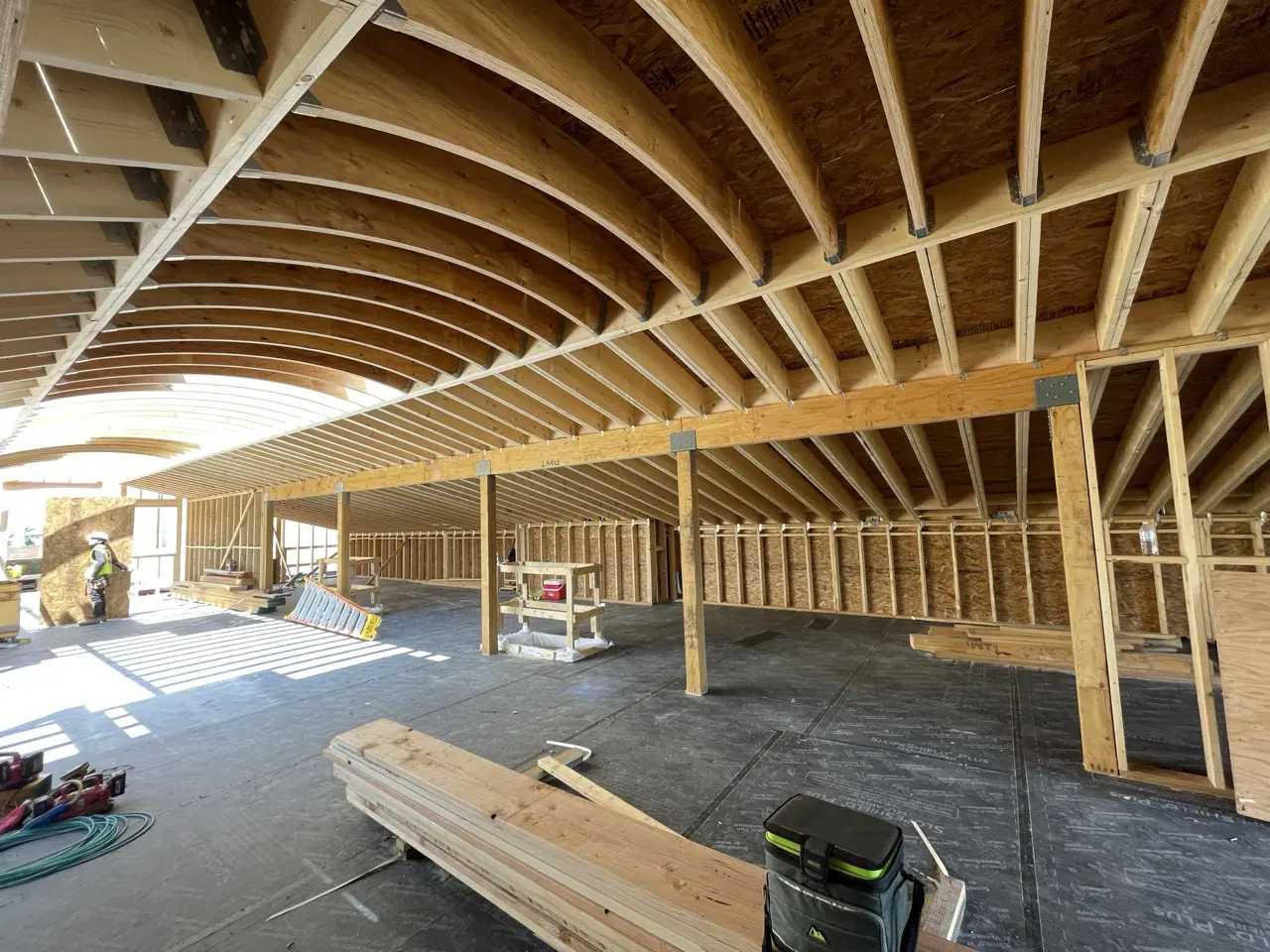 Curved timber roof framing under construction